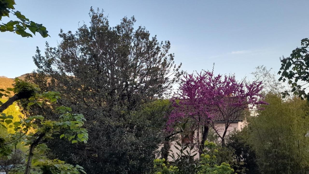 Le Gite Du Tarn Aguessac Exteriér fotografie