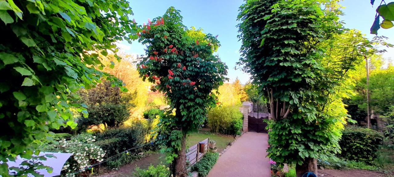 Le Gite Du Tarn Aguessac Exteriér fotografie