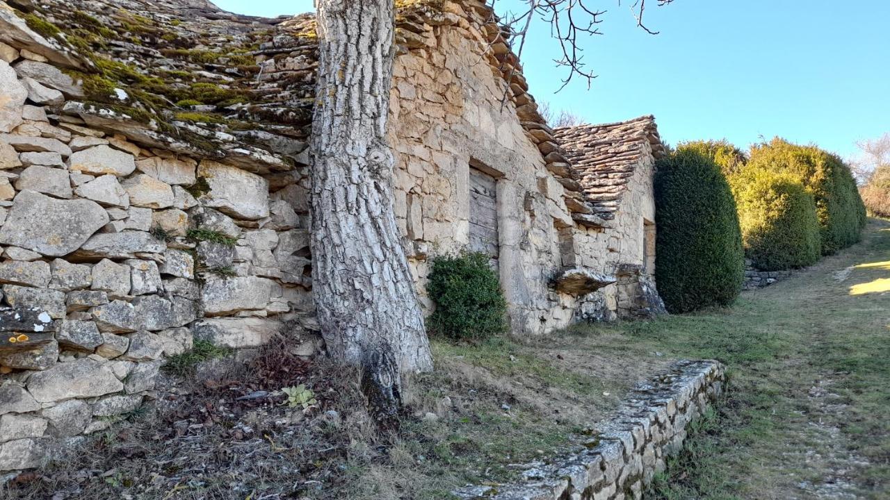 Le Gite Du Tarn Aguessac Exteriér fotografie